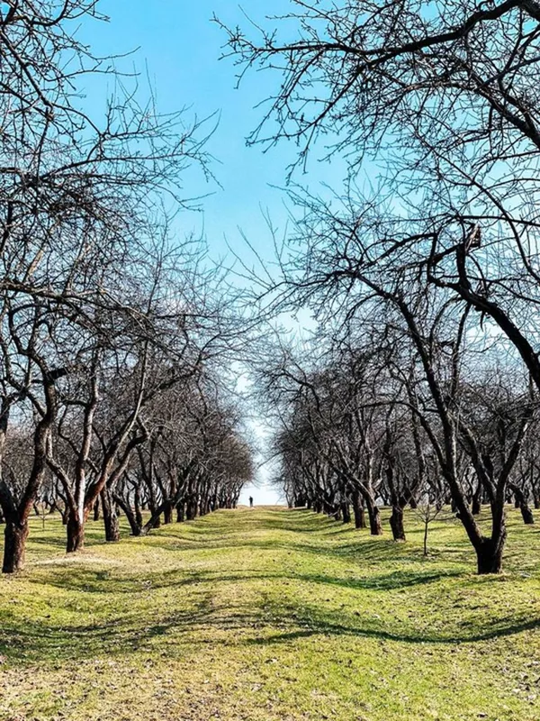 Коломенское