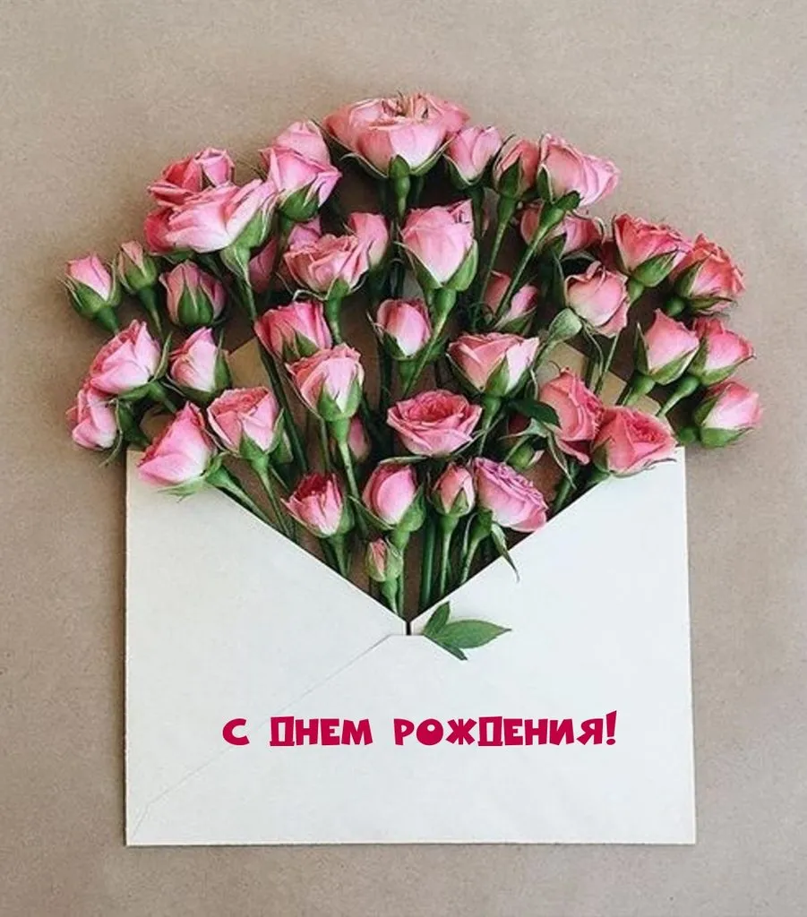 Tapтaлeтки & Ко