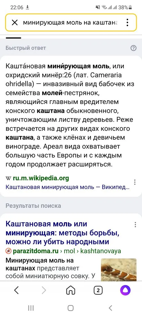 Tapтaлeтки & Ко