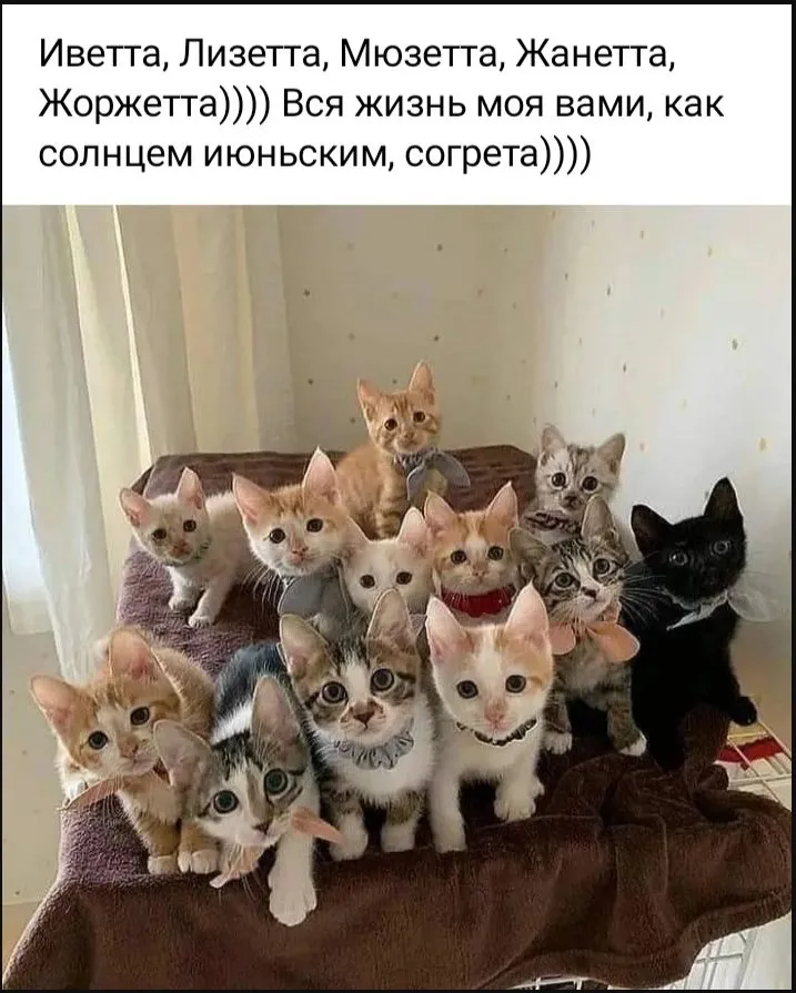Кафе «У пани Сони»