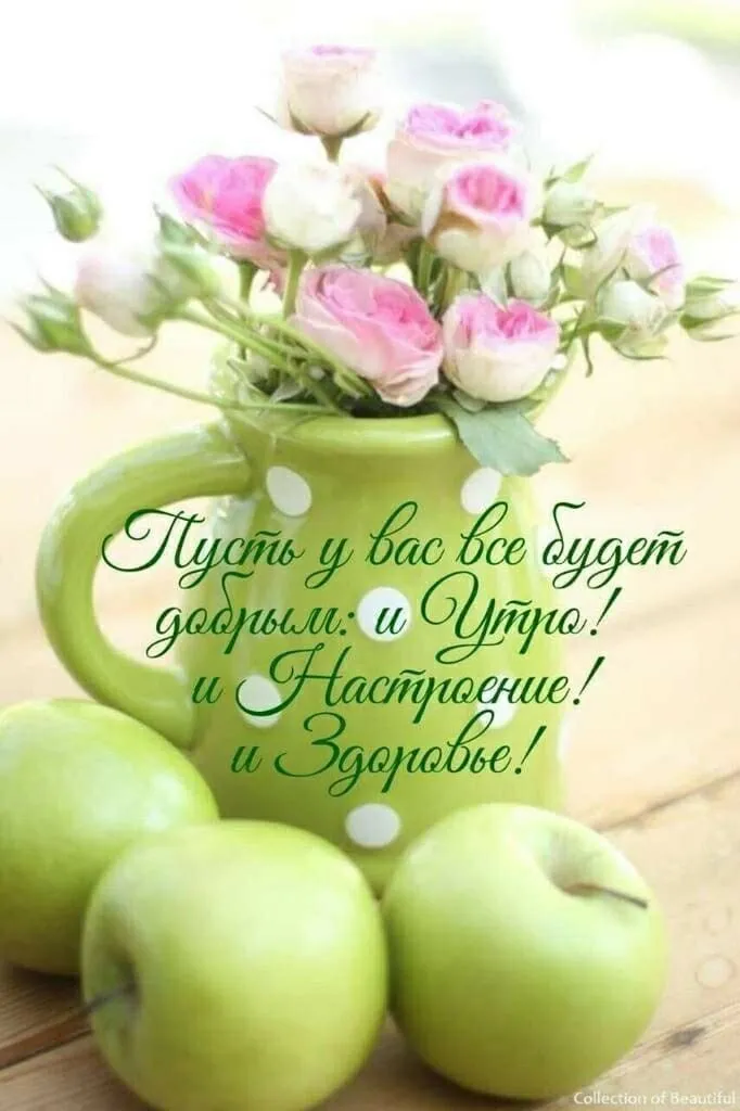 Tapтaлeтки & Ко