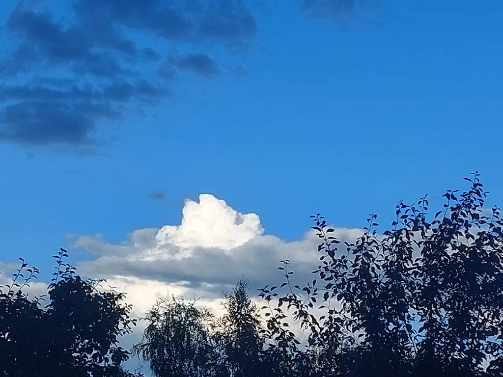 Такое разное небо