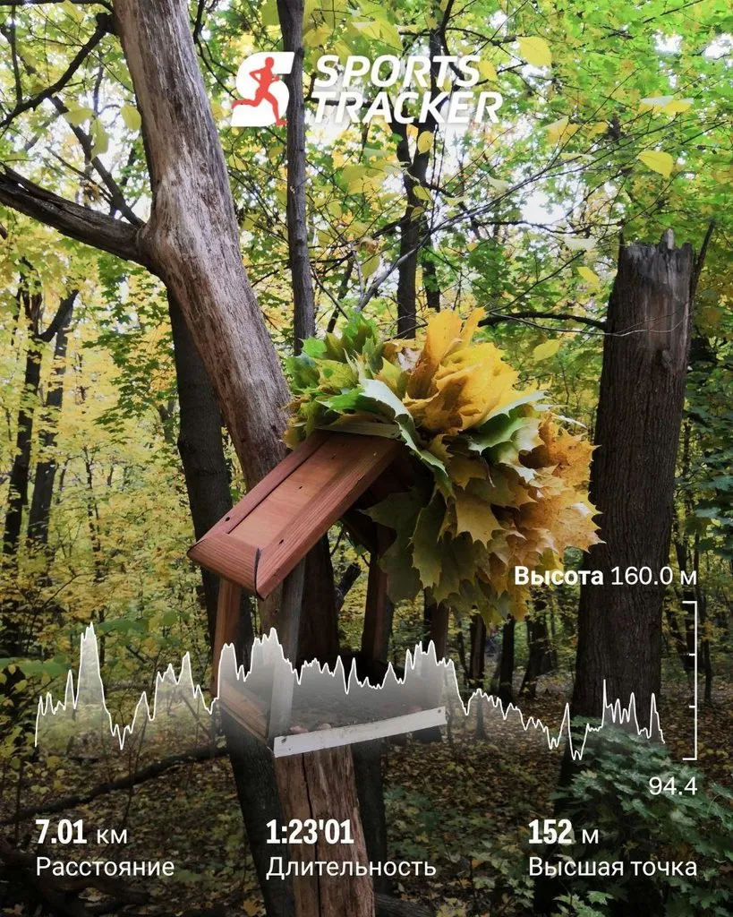 Чайная беседка