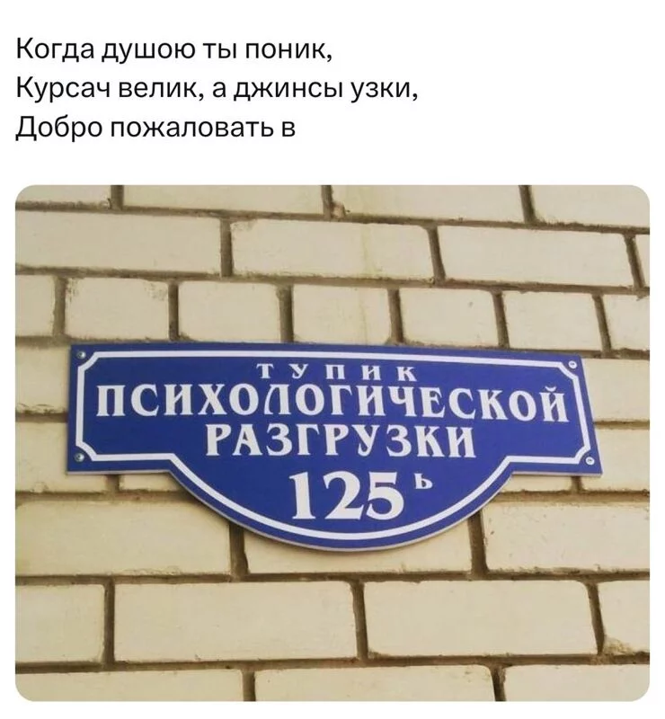 Всюду рифмы