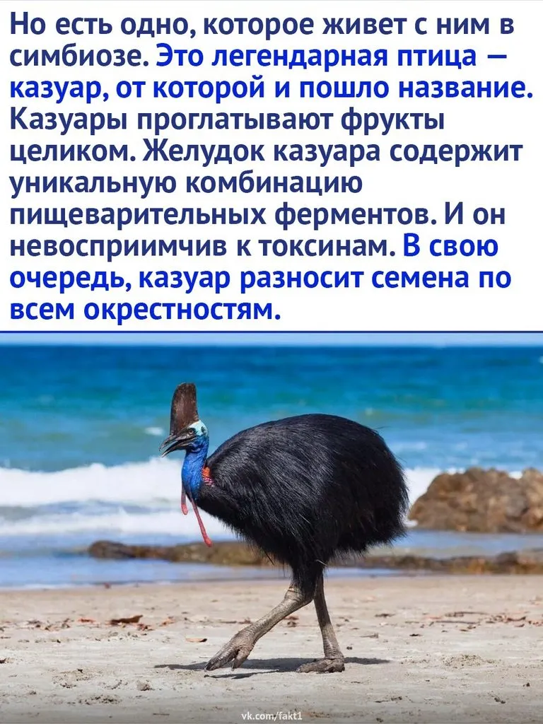 Это интересно!