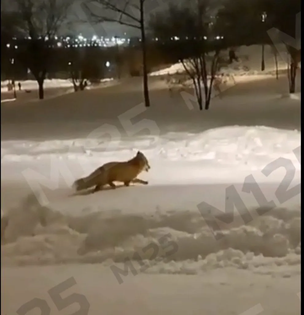 Коломенское