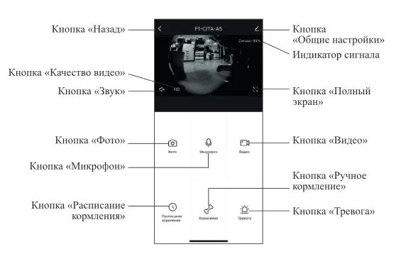 Умные кормушки для животных Kitfort КТ-2079, КТ-2080 и КТ-2081