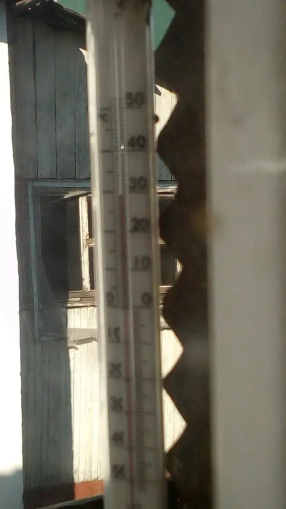 Чайная беседка