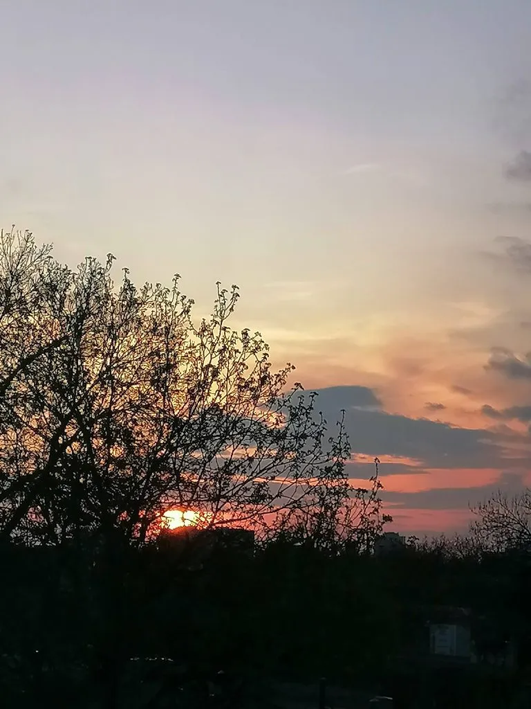 Такое разное небо