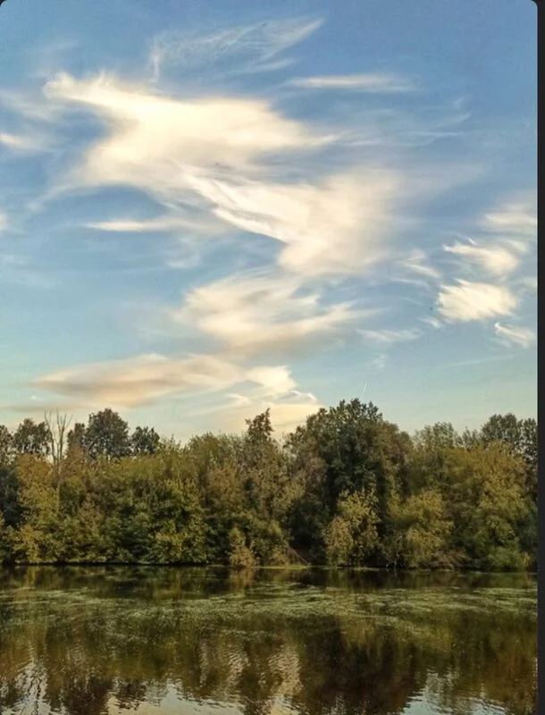 Такое разное небо