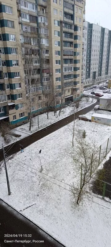 Микроволновка. Что мы умеем в ней делать?