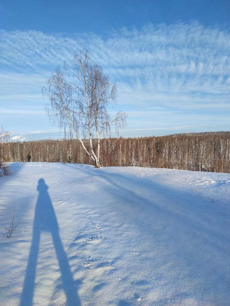 Такое разное небо