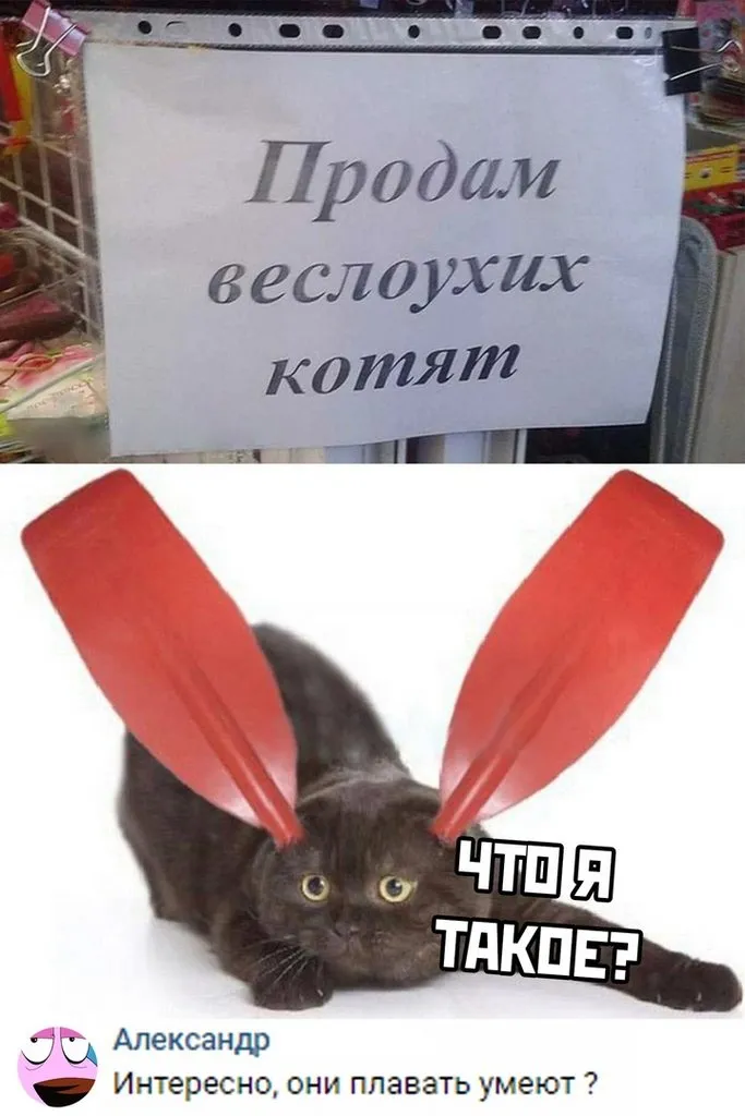 Посмеялся сам - поделись с другом!!!