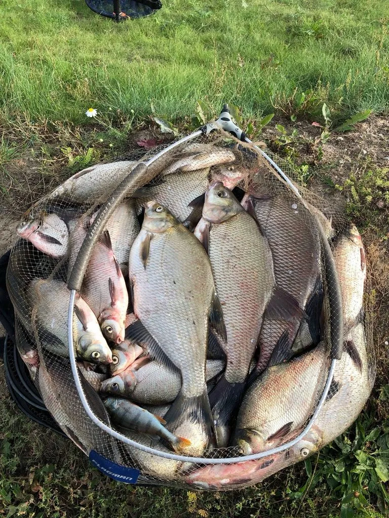 Рыбалка