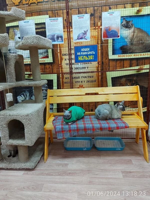 Чайная беседка