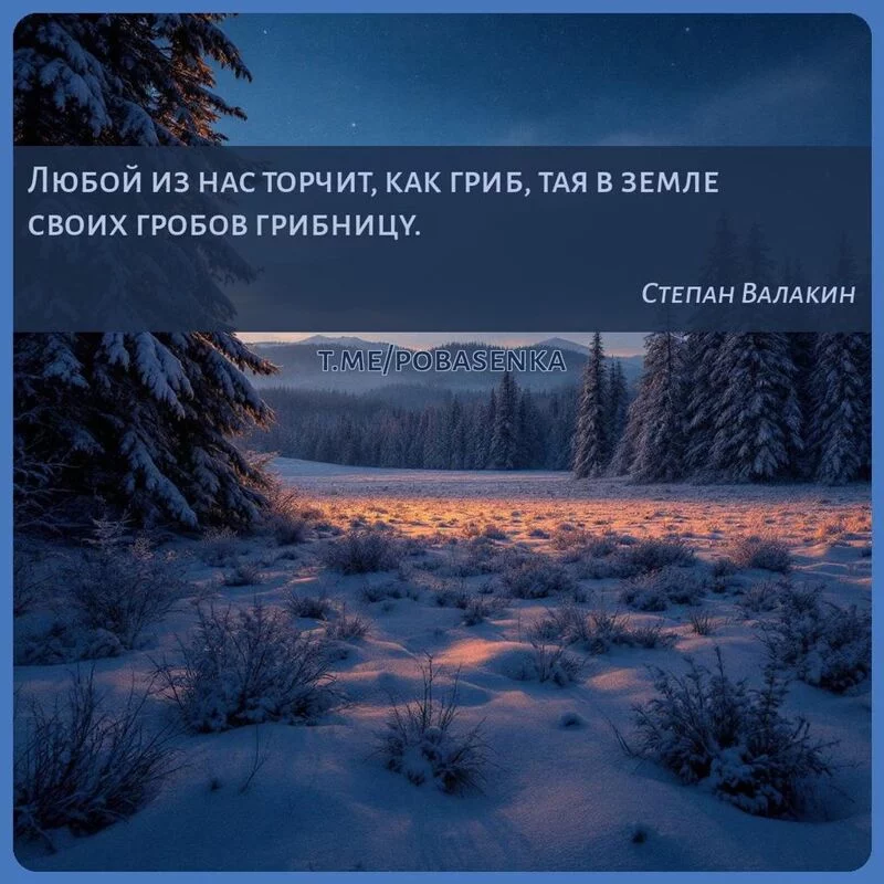 «Любой из нас торчит, как гриб, тая в земле своих гробов...» height="550" width="550"