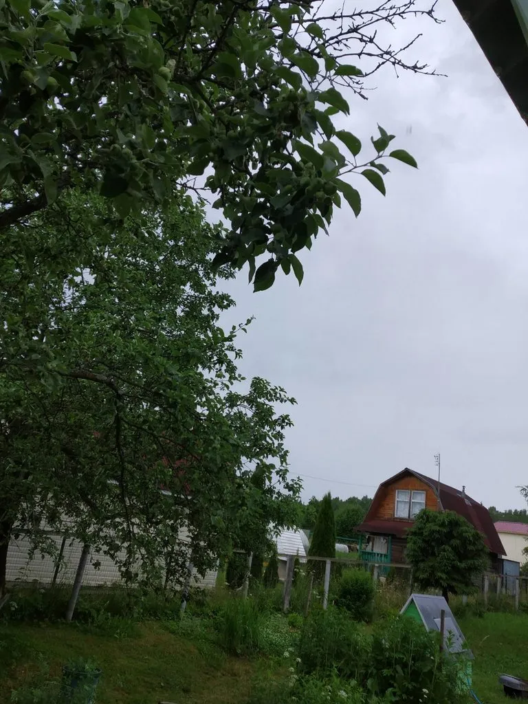 Tapтaлeтки & Ко