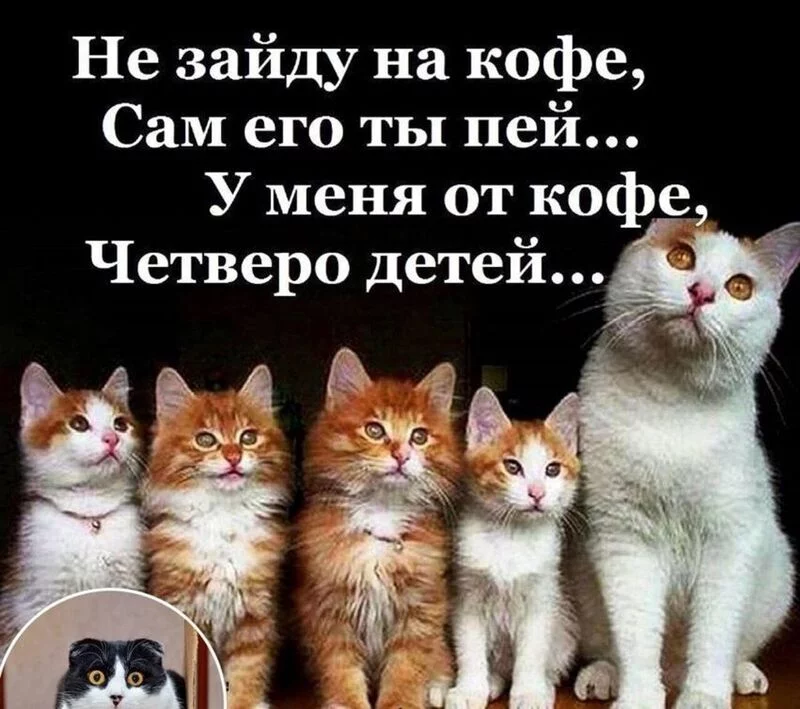 Посмеялся сам - поделись с другом!!!