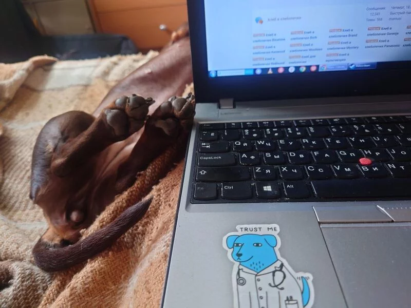 Живой Журнал Жульена