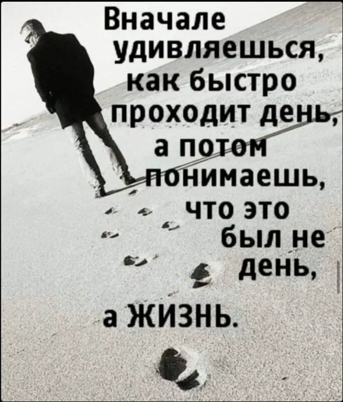 Лаконичная мудрость