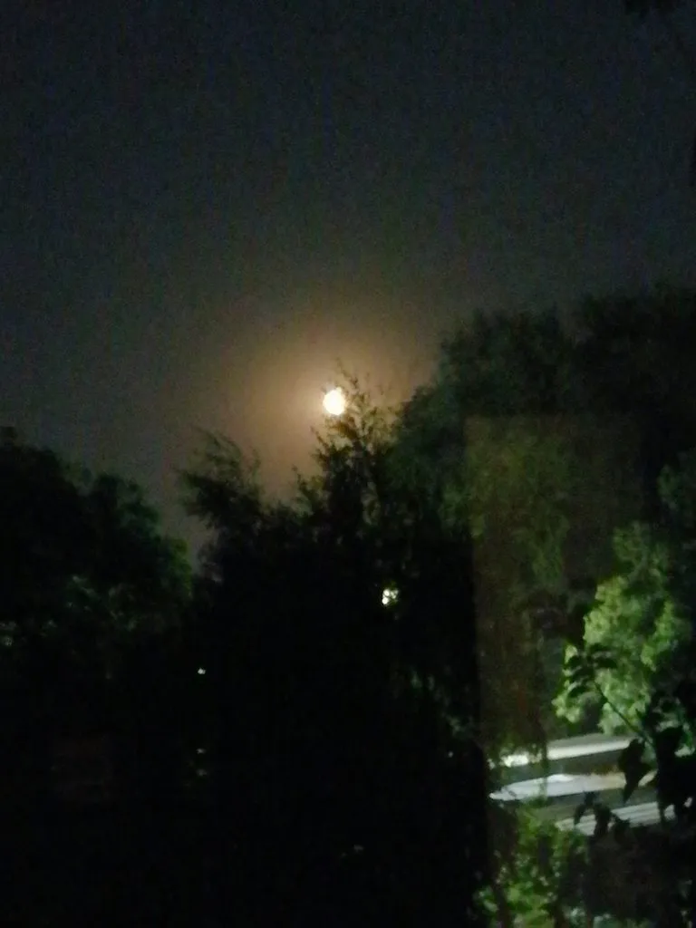 Чайная беседка