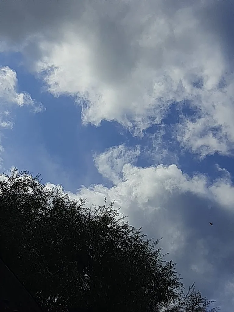 Такое разное небо