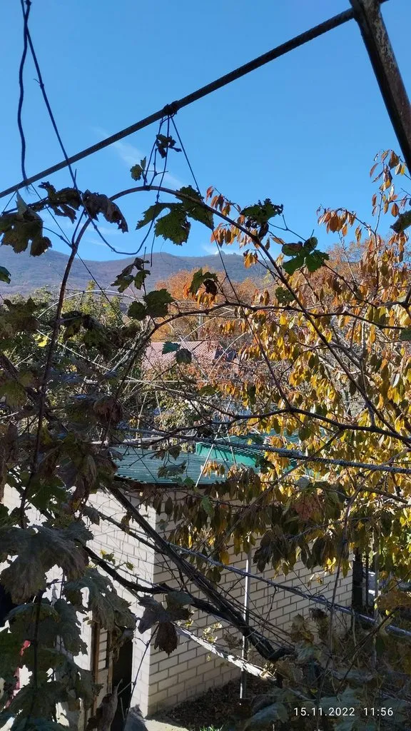 Кафе «У пани Сони»