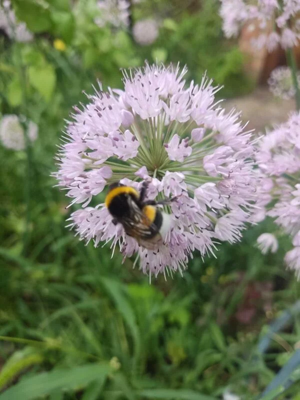 Фотонастроение