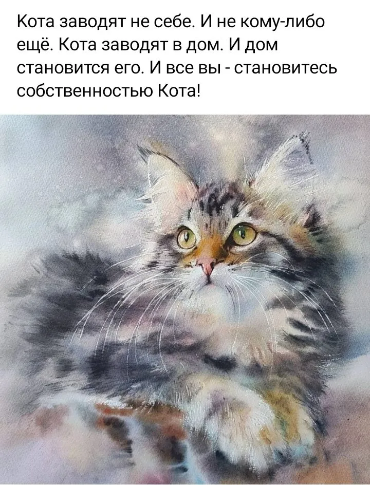 Позитивчик (фото, видео, рассказы для хорошего настроения)