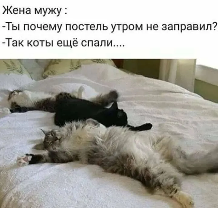 Посмеялся сам - поделись с другом!!!