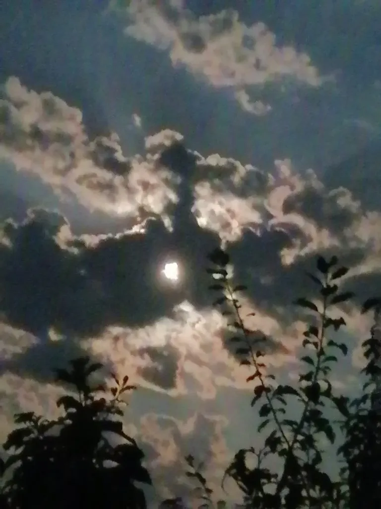 Такое разное небо