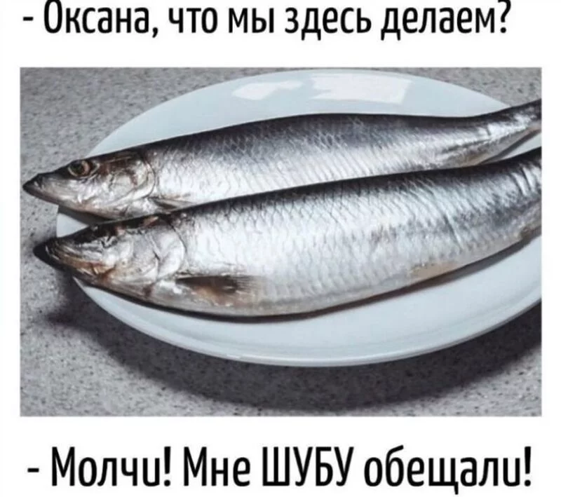 Посмеялся сам - поделись с другом!!!