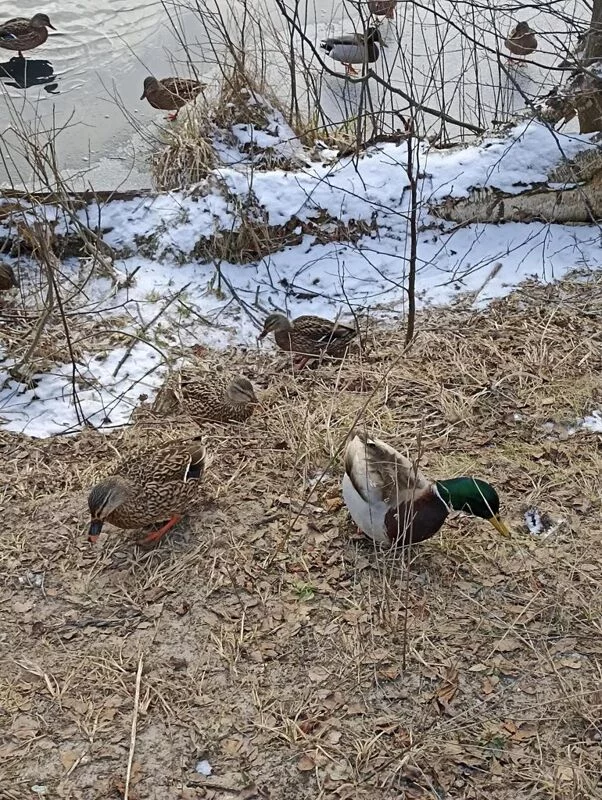 Фотонастроение