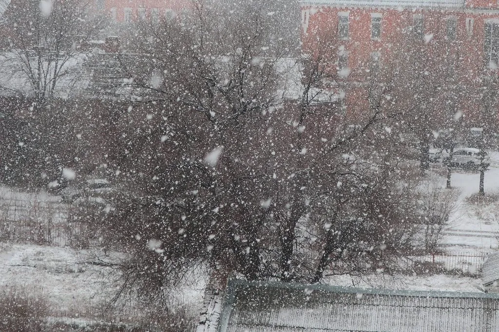 Чайная беседка