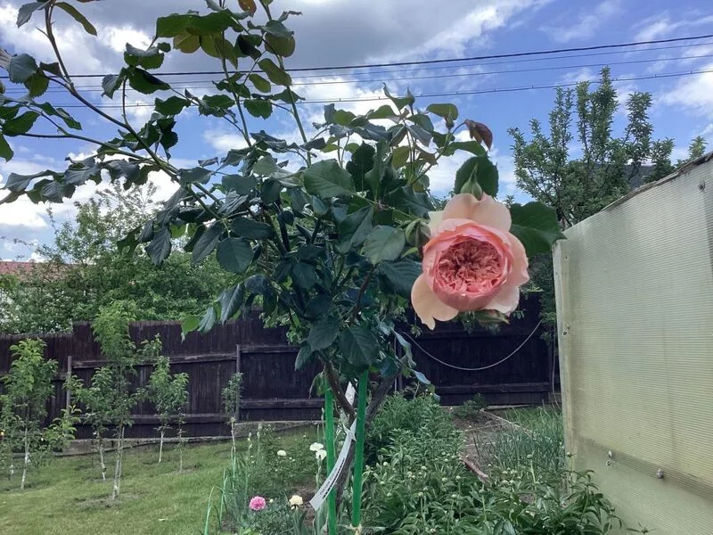 Загородная жизнь - обустройство на своей земле во всем ее разнообразии