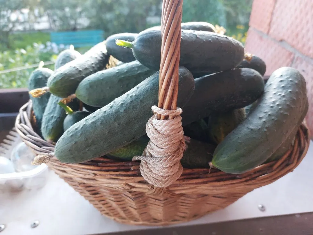 Кафе «У пани Сони»