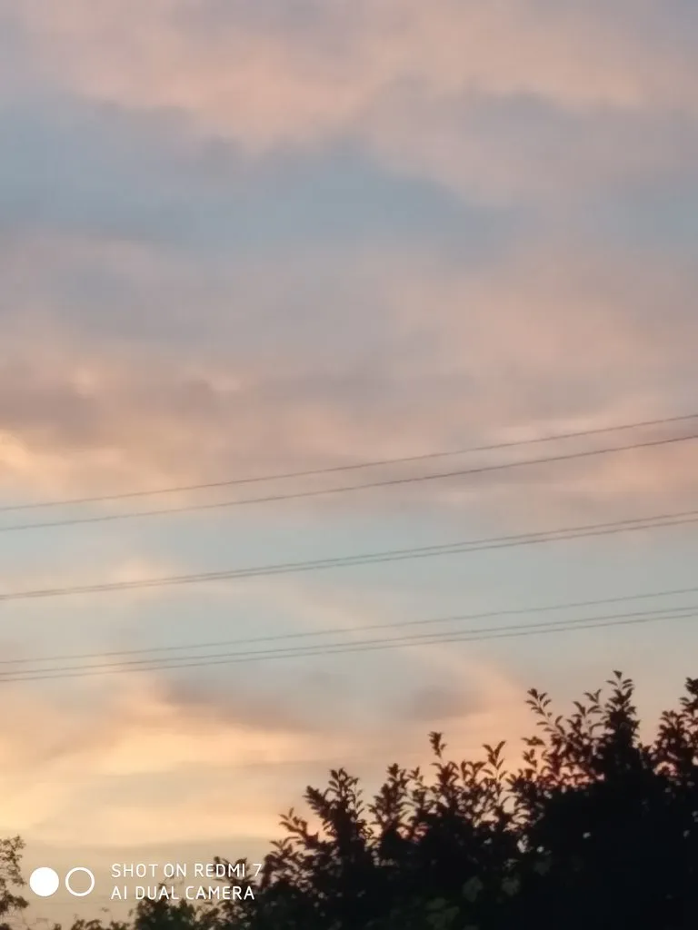 Чайная беседка