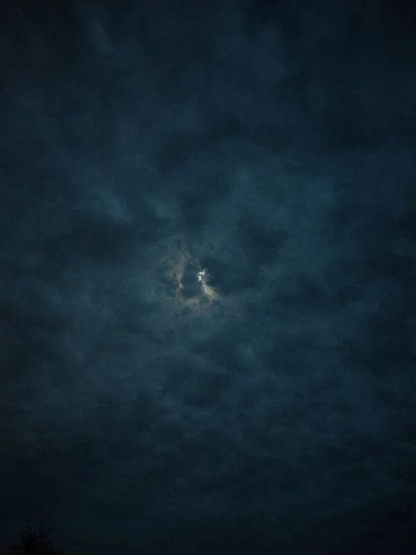 Чайная беседка