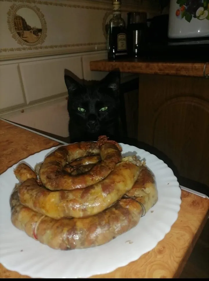 Кошичкина полиция
