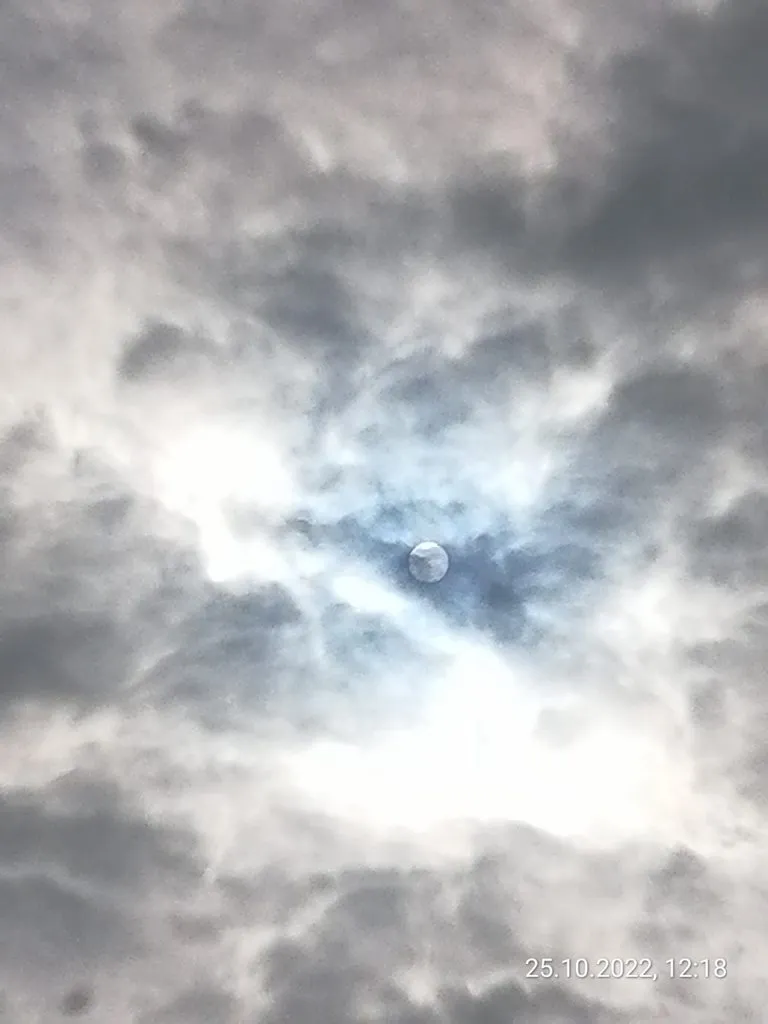 Чайная беседка