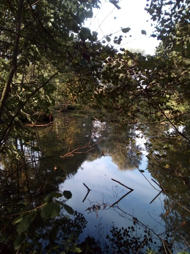 Чайная беседка