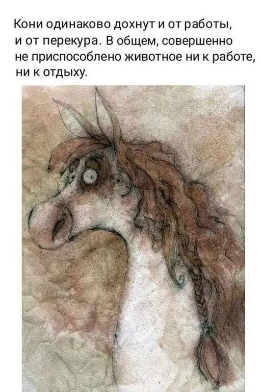 Посмеялся сам - поделись с другом!!!