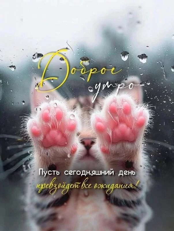 Кафе "У пани Сони"