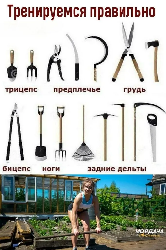 Посмеялся сам - поделись с другом!!!