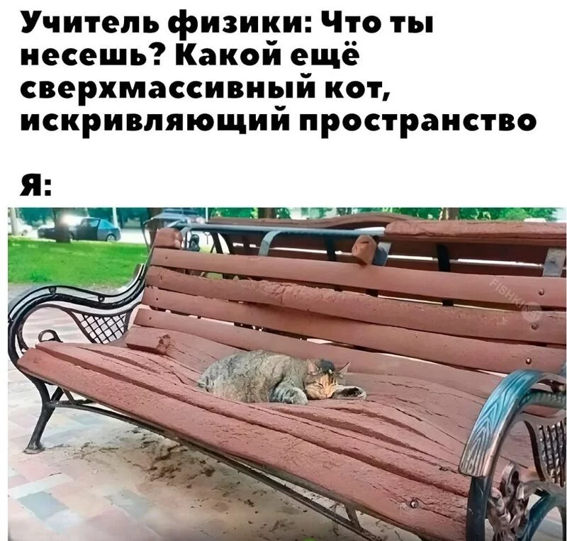 Позитивчик (фото, видео, рассказы для хорошего настроения)