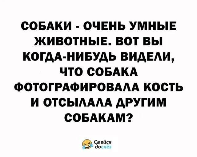Человек собаке друг!!!