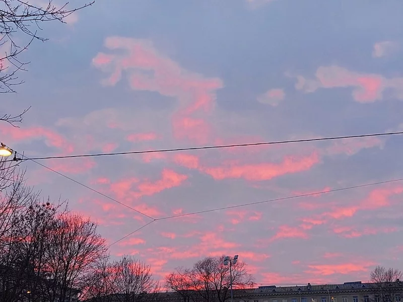 Такое разное небо