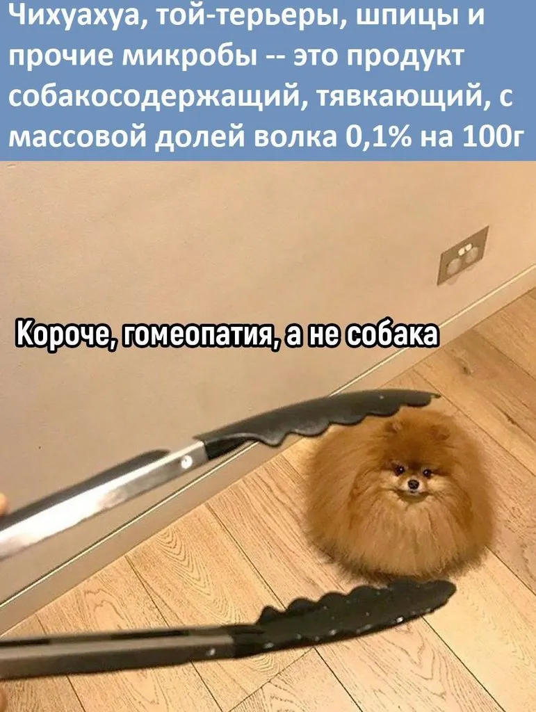 Посмеялся сам - поделись с другом!!!