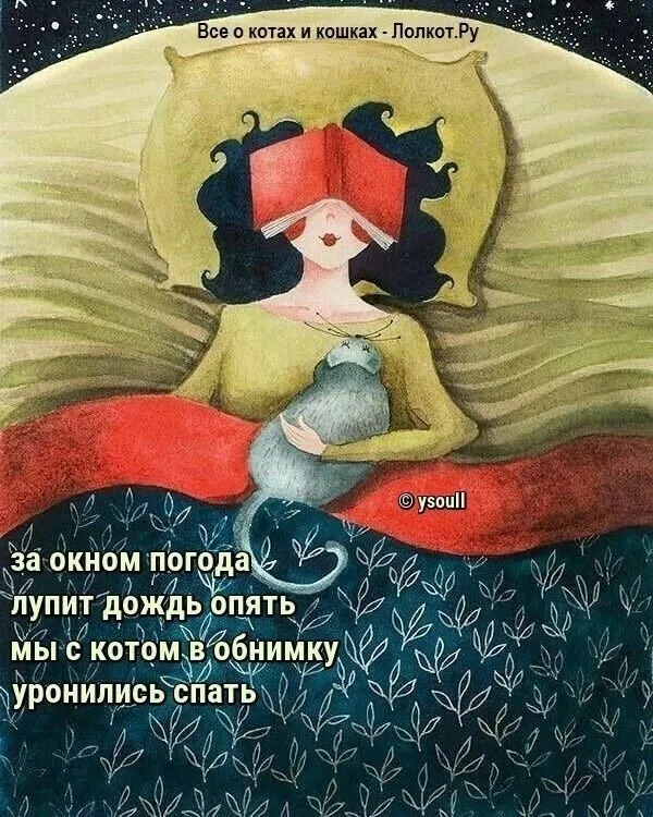 Кафе "У пани Сони"