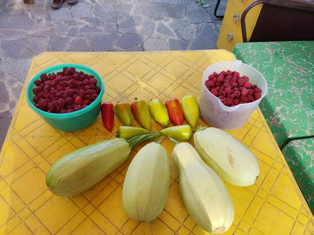 Чайная беседка